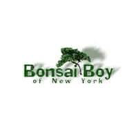 Bonsai Boy