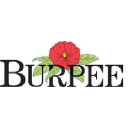 burpee.com