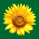 Kr�uterhaus Sanct Bernhard