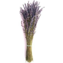 Lavender World
