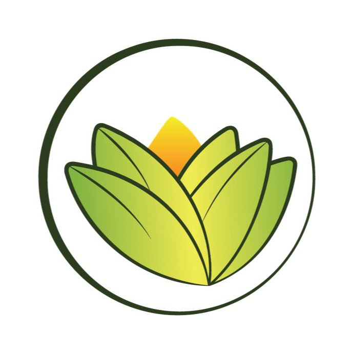 The Ayurveda Experience