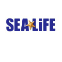 Sea Life